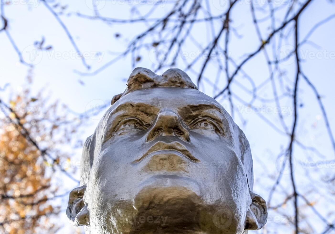 el cara de el Roca hombre. hormigón soldado busto cubierto con Pensilvania foto