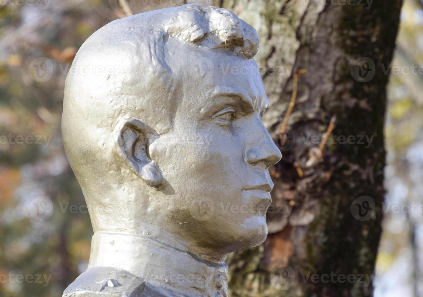 The face of the stone man. Concrete soldier bust covered with pa photo