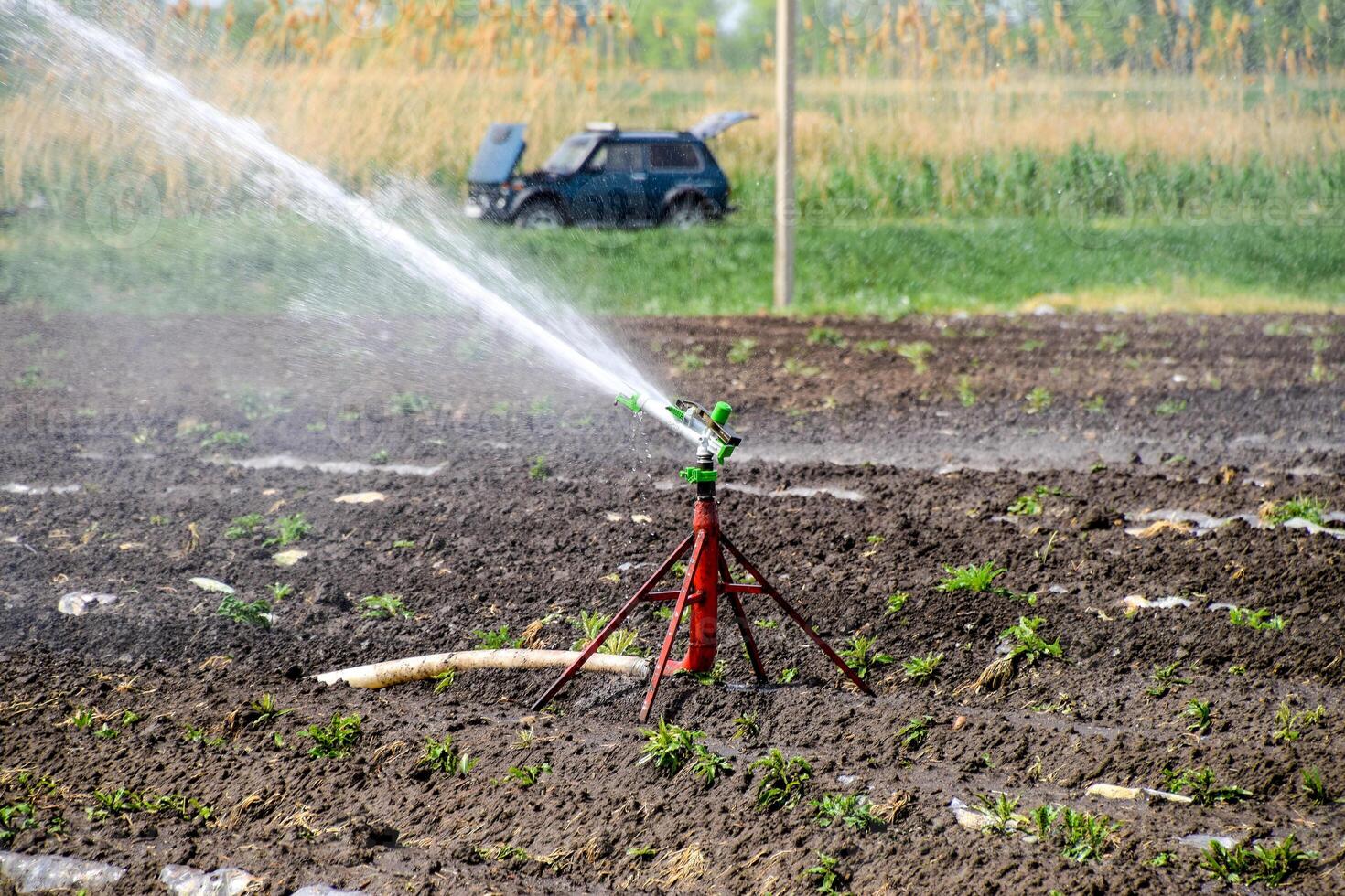 Irrigation system in field of melons. Watering the fields. Sprinkler photo
