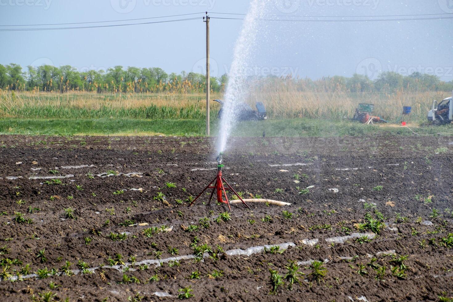 irrigación sistema en campo de melones riego el campos. aspersor foto