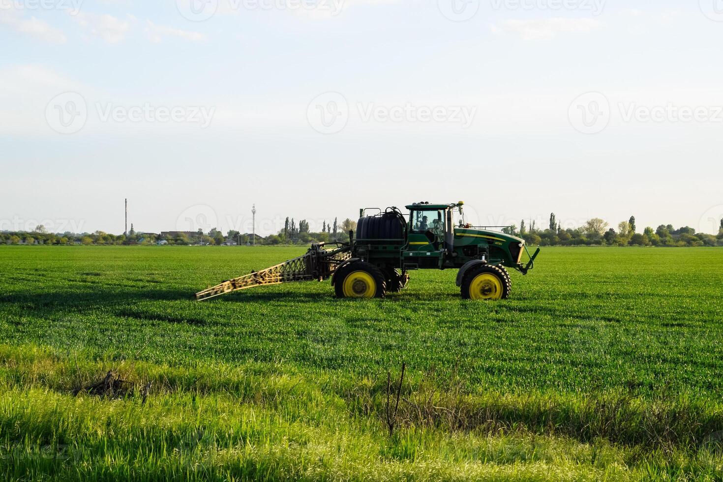 tractor with the help of a sprayer sprays liquid fertilizers on young wheat in the field. photo