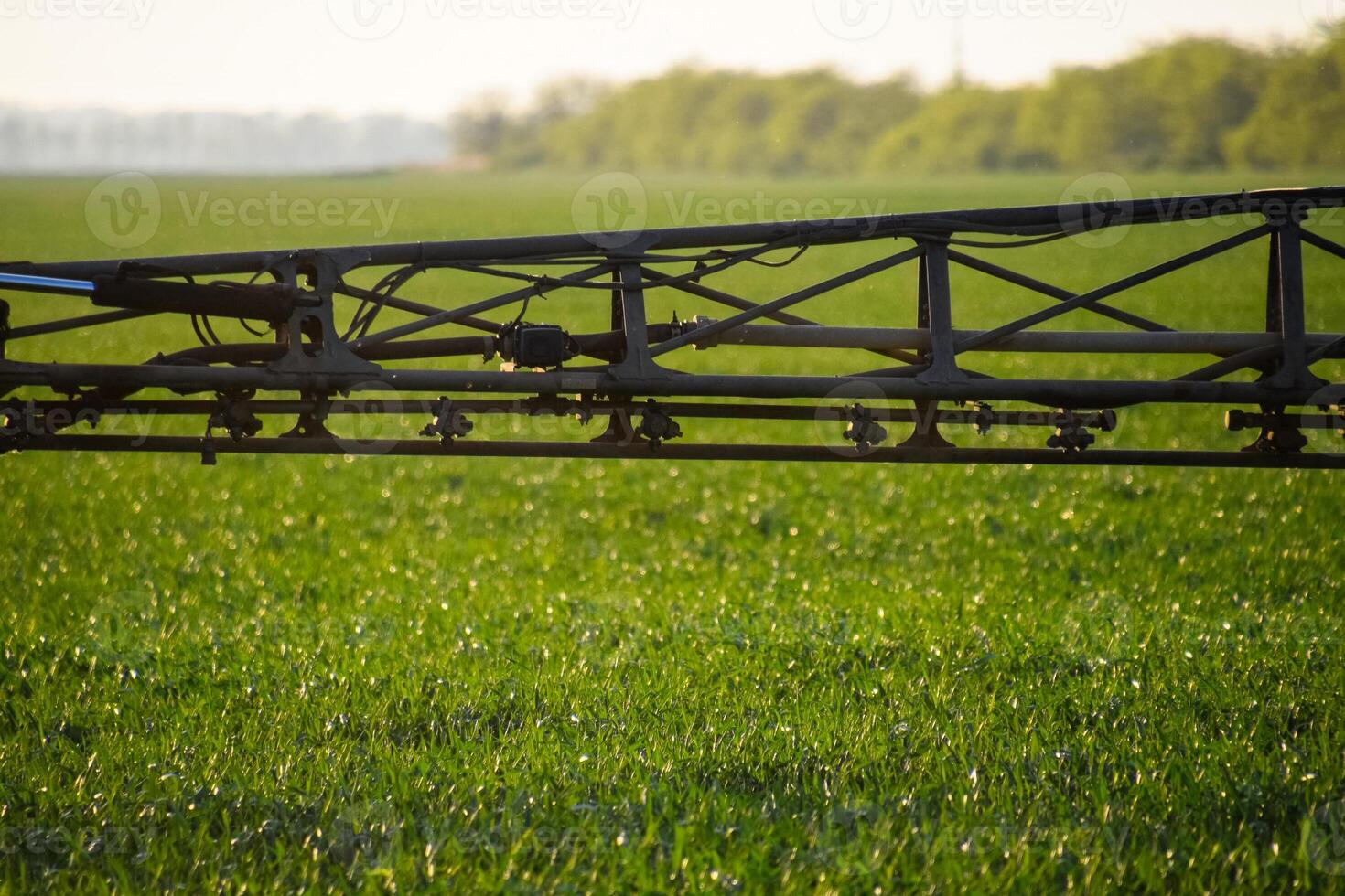 Jets of liquid fertilizer from the tractor sprayer. photo