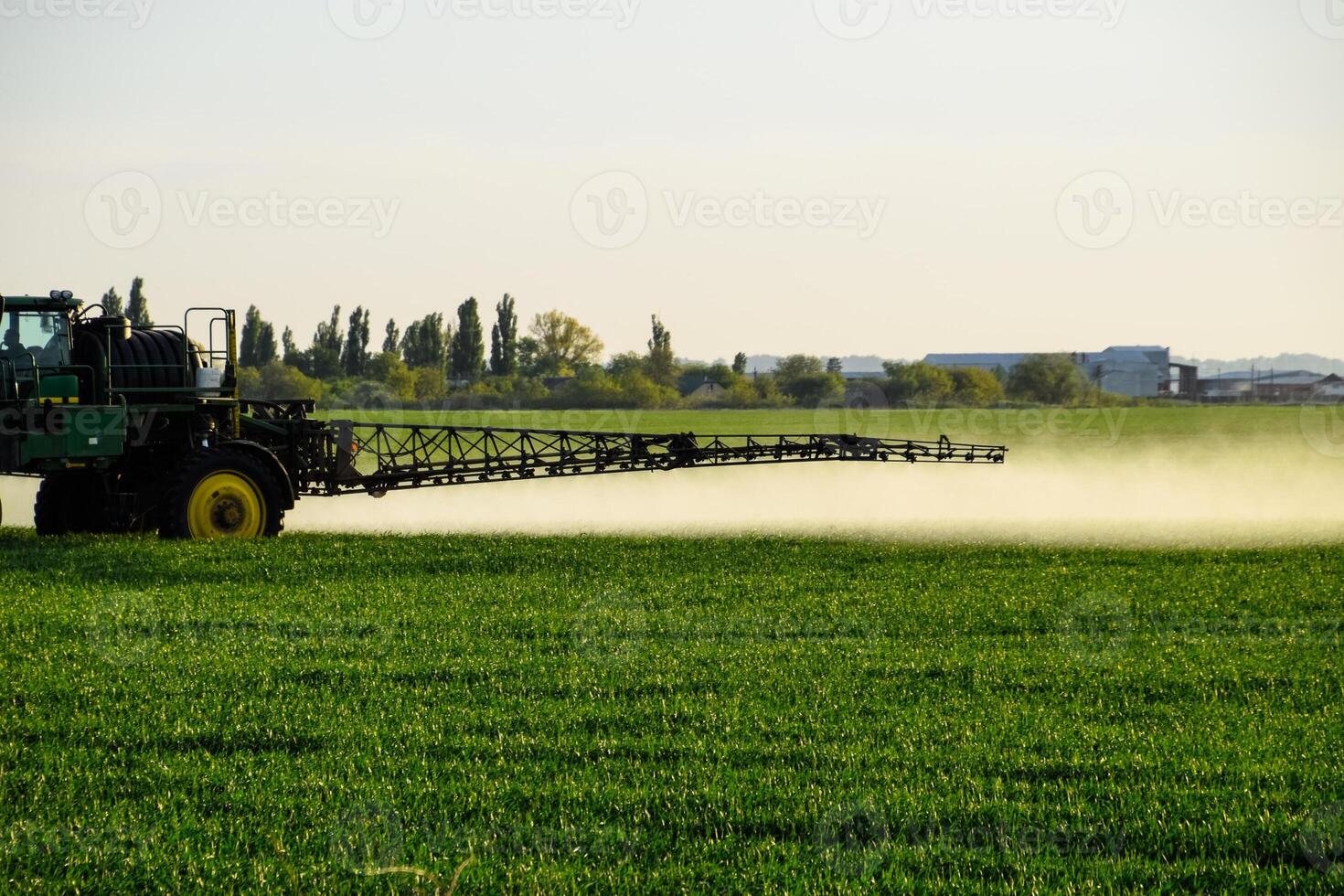 tractor with the help of a sprayer sprays liquid fertilizers on young wheat in the field. photo