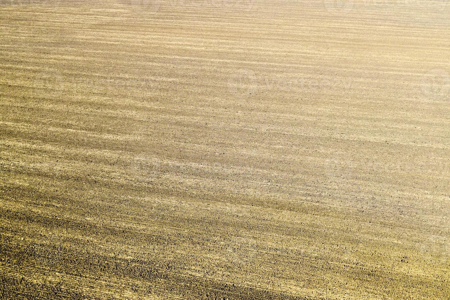 plowed field in the spring in the village. Agricultural land in the Kuban. Preparation of fields for sowing wheat. photo