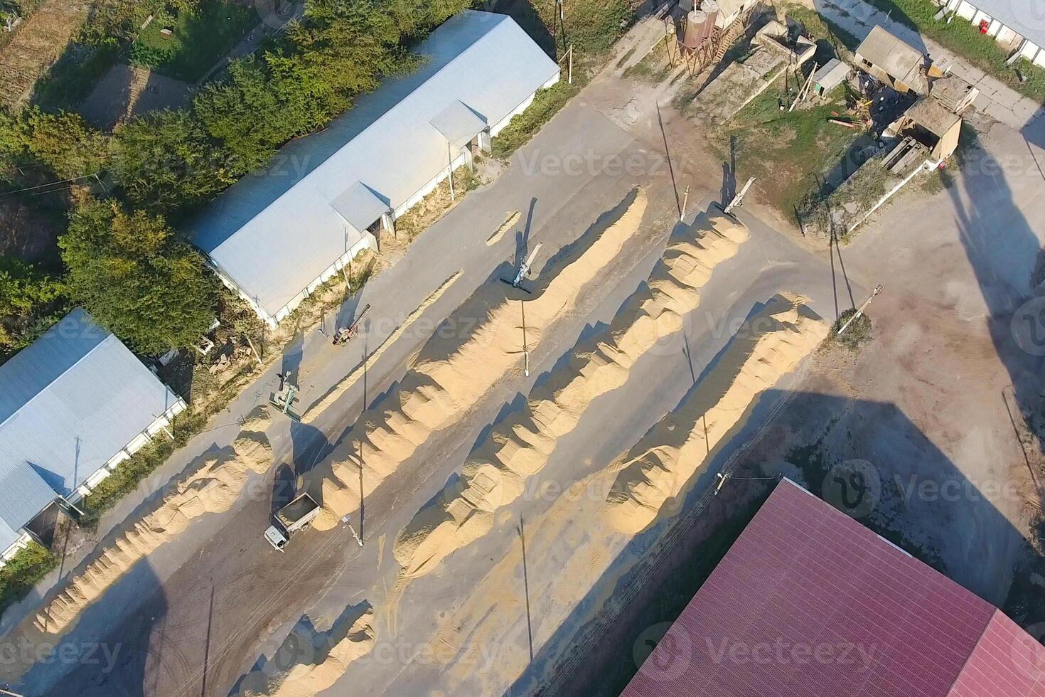 Hangar for storage of grain. A platform for drying and sintering photo