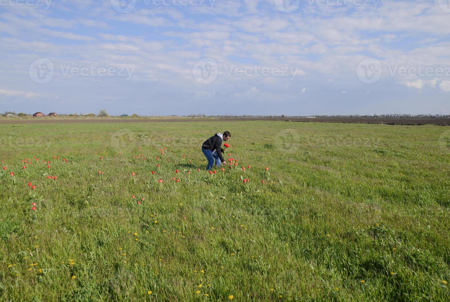 un hombre en un chaqueta en un campo de tulipanes claro con tulipanes foto