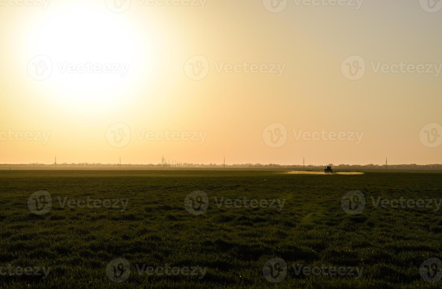Tractor on the sunset background. Tractor with high wheels is making fertilizer on young wheat. The use of finely dispersed spray chemicals photo