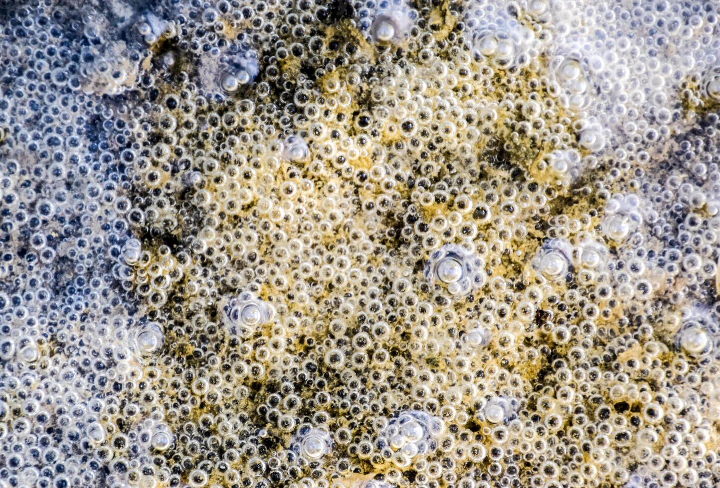 Bubbles of air in mud and silt under water. Background of bubbles, surface texture. photo