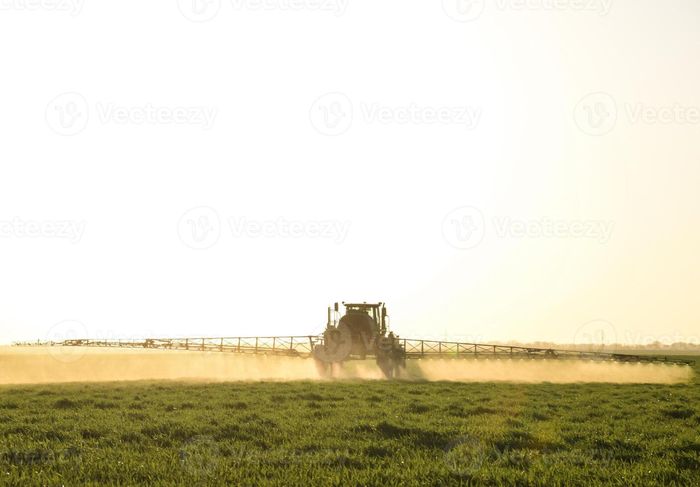 tractor en el puesta de sol antecedentes. tractor con alto ruedas es haciendo fertilizante en joven trigo. el utilizar de finamente disperso rociar productos quimicos foto