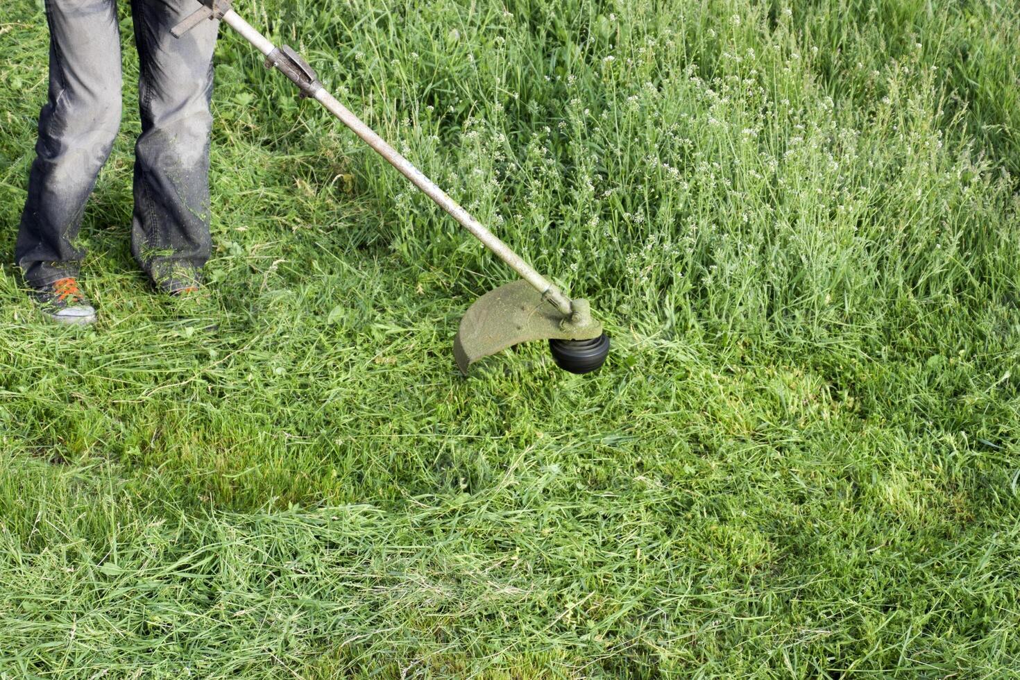 Application trimmers. Mowing green grass using a fishing line trimmer photo