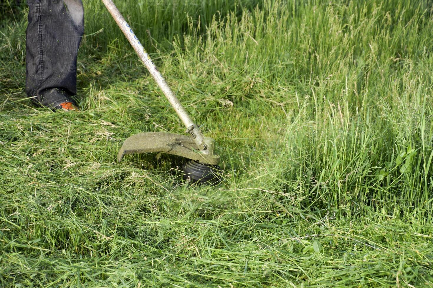 Application trimmers. Mowing green grass using a fishing line trimmer photo