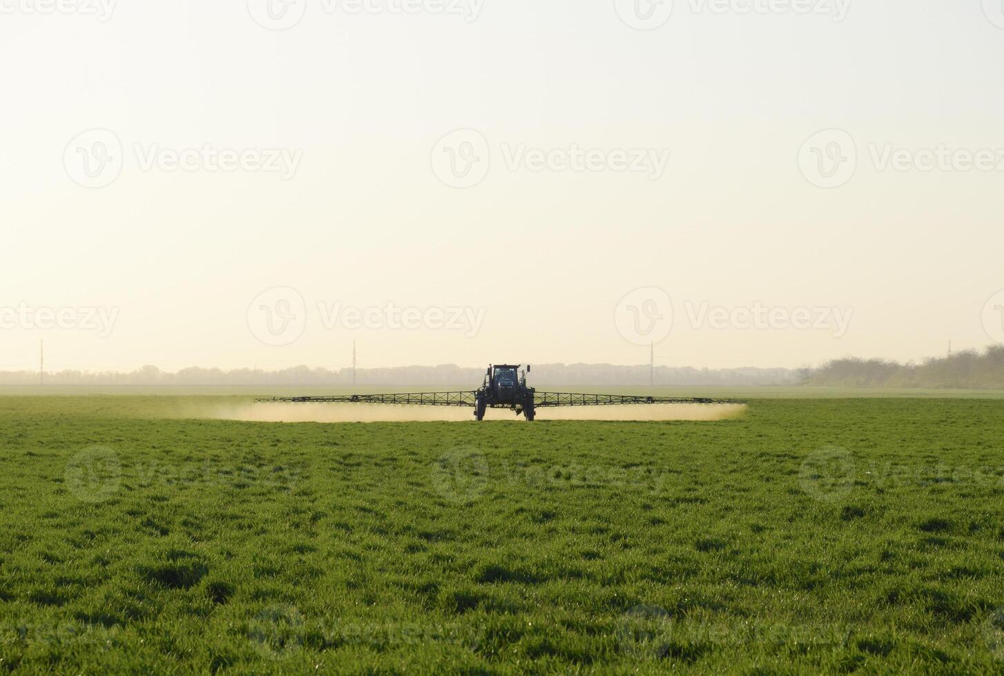 tractor en el puesta de sol antecedentes. tractor con alto ruedas es haciendo fertilizante en joven trigo. el utilizar de finamente disperso rociar productos quimicos foto