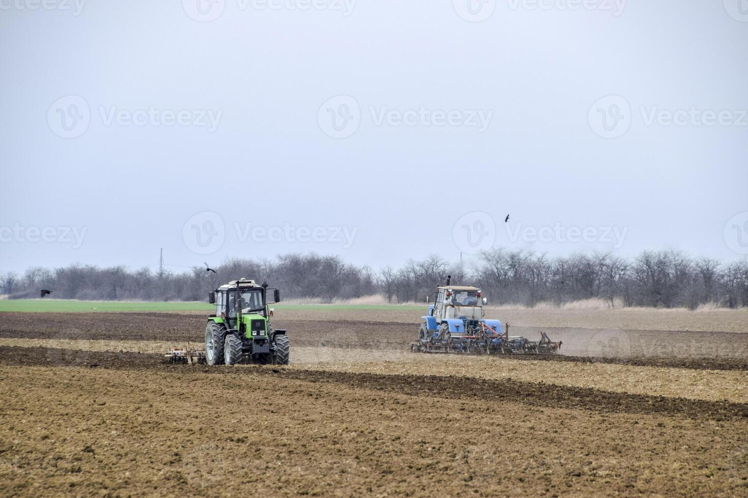 Lush and loosen the soil on the field before sowing. The tractor plows a field with a plow photo