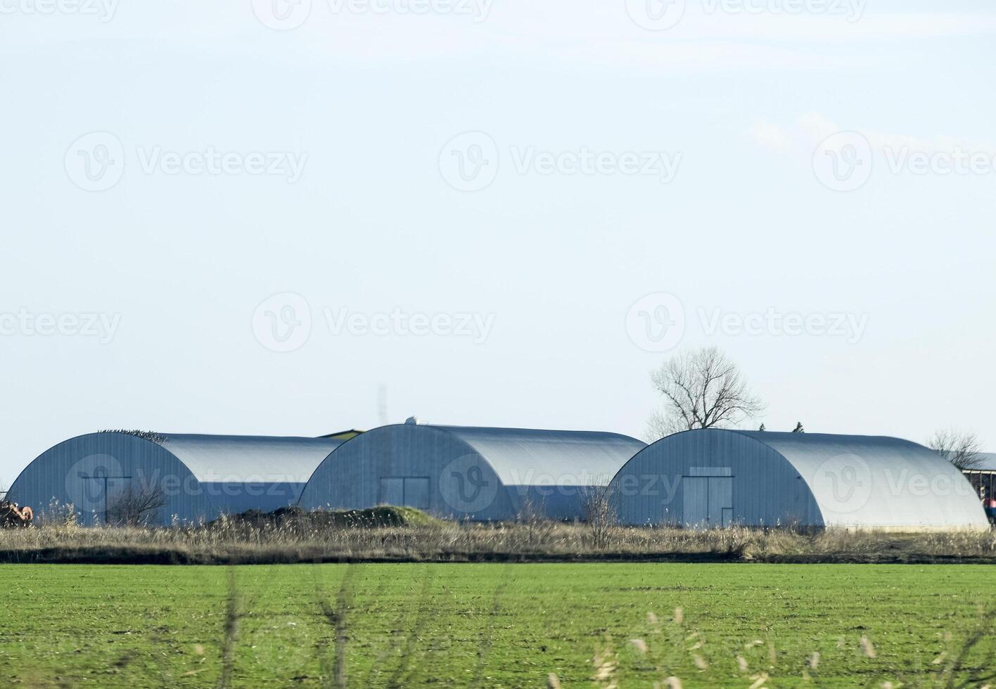 Three hangars in the field. Hangars from galvanized iron. photo