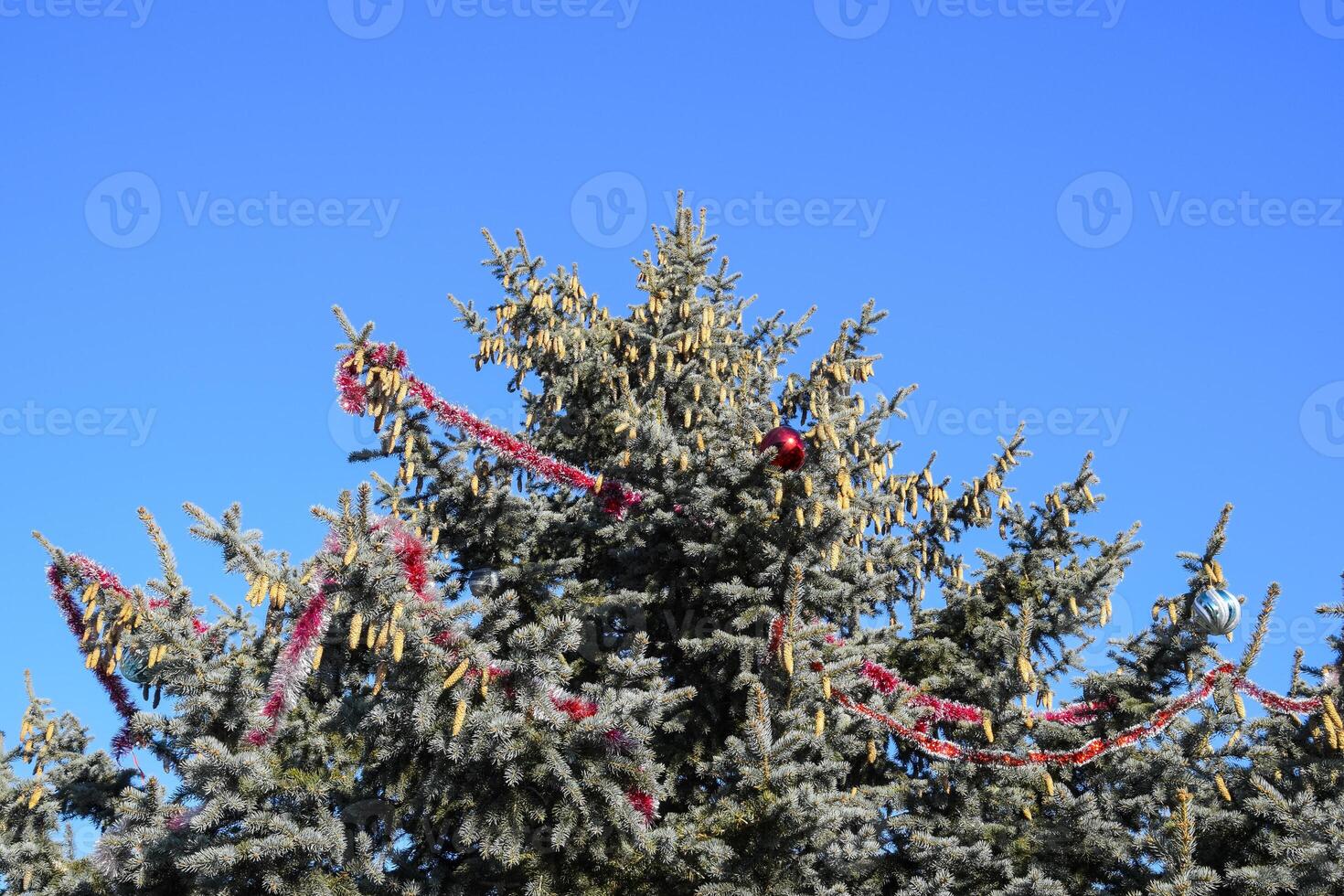 Decorations New Year tree. Tinsel and toys, balls and other decorations on the Christmas Christmas tree standing in the open air. photo