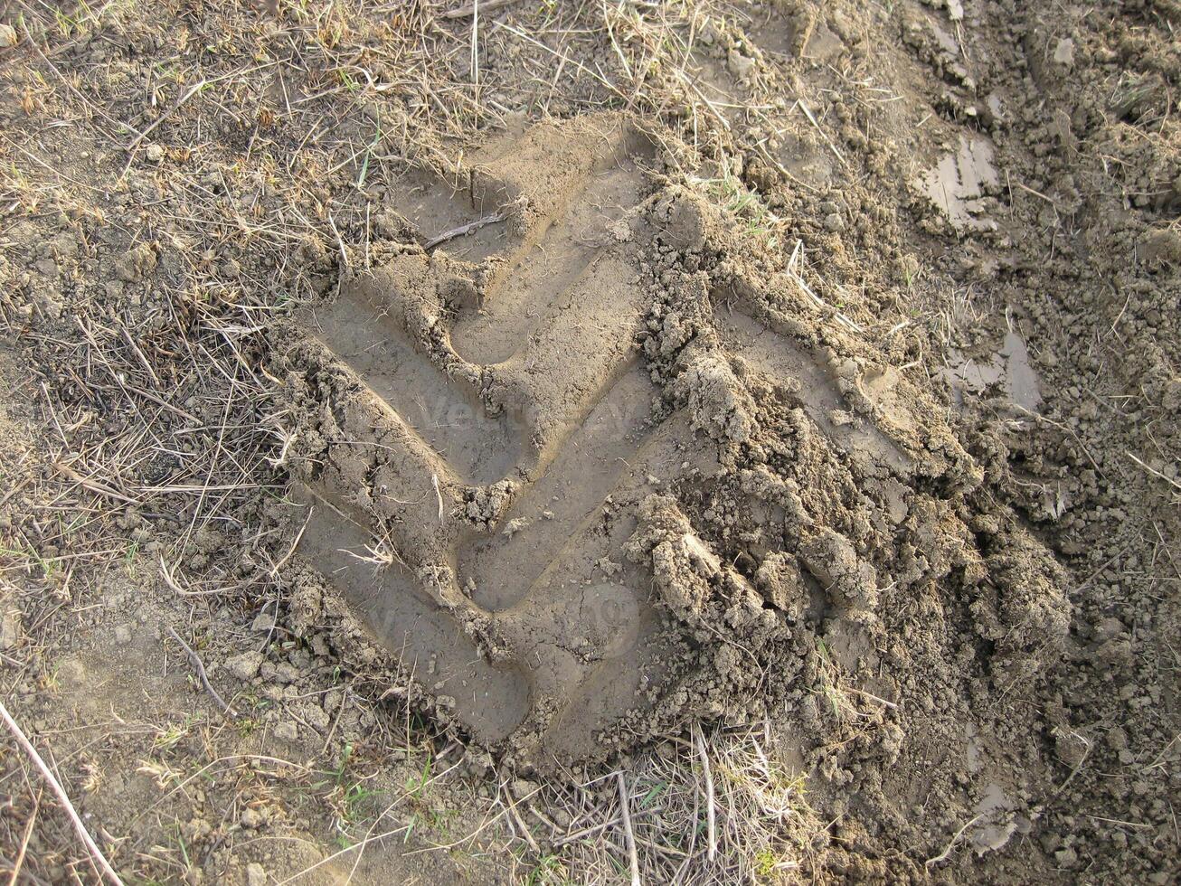 The traces left by the wheels of the tractor tread photo
