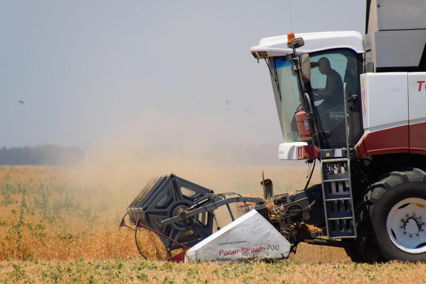 Harvesting peas with a combine harvester. Harvesting peas from the fields. photo