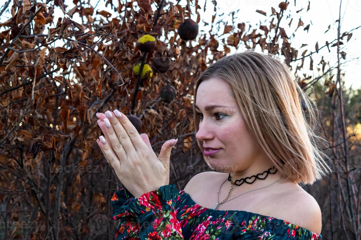 The lady on the background of dry trees. Woman in a dress. photo