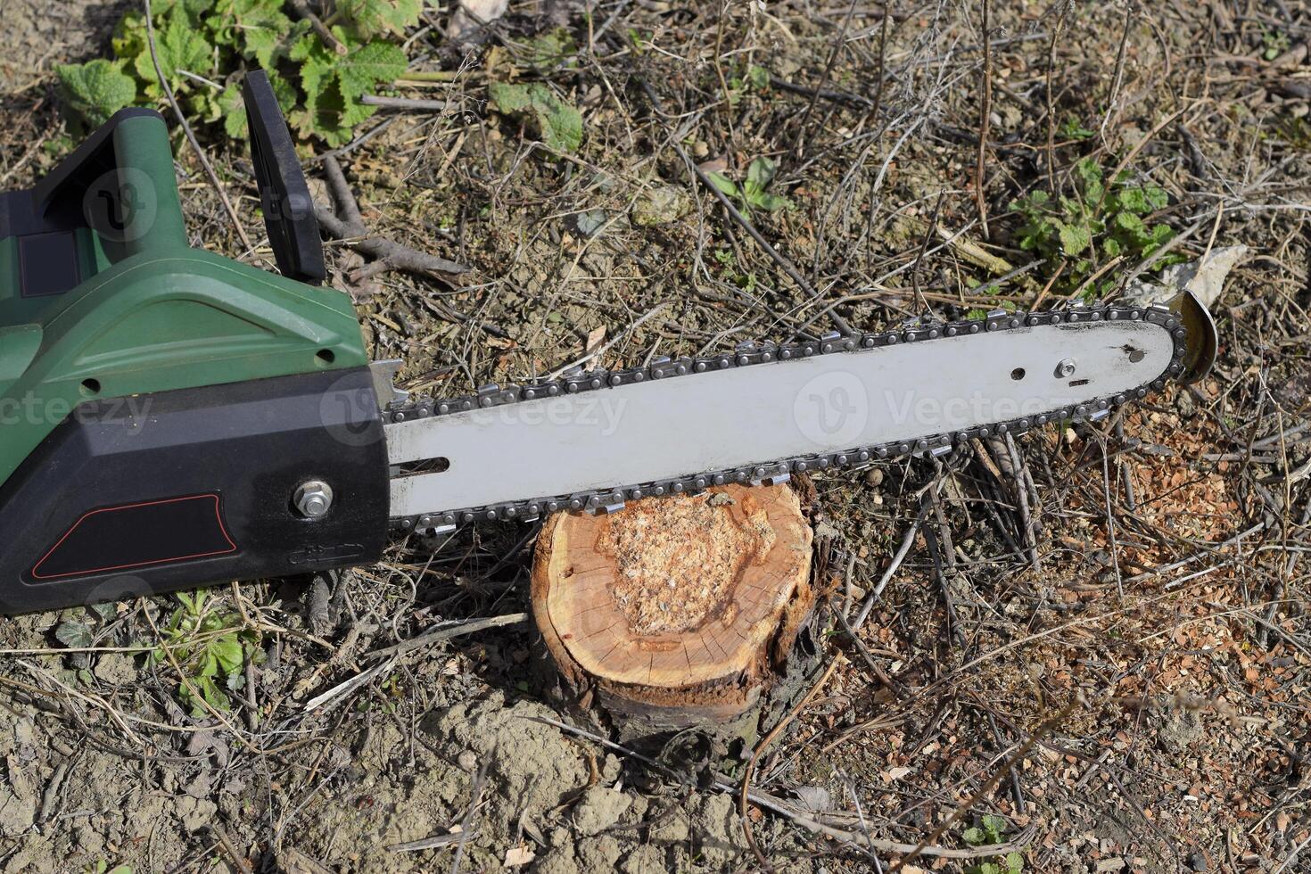 sawn electric sawing tree photo
