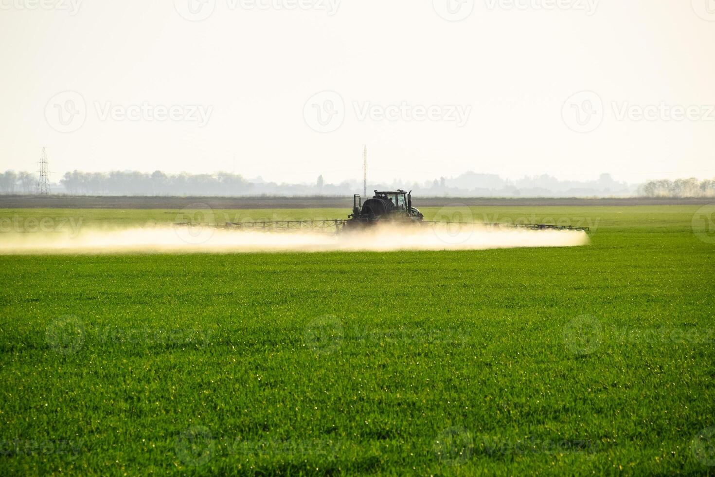 tractor with the help of a sprayer sprays liquid fertilizers on young wheat in the field. photo
