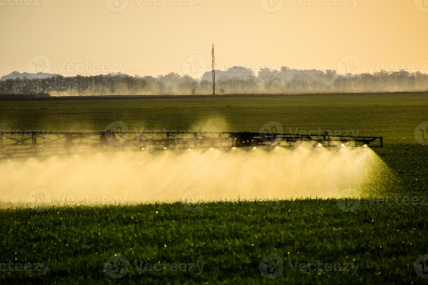 Jets of liquid fertilizer from the tractor sprayer. photo