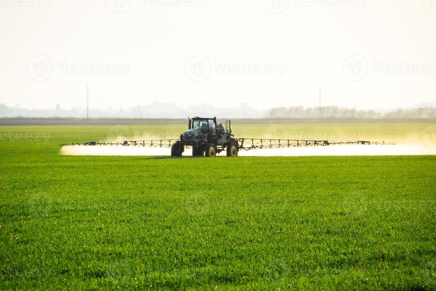 tractor with the help of a sprayer sprays liquid fertilizers on young wheat in the field. photo