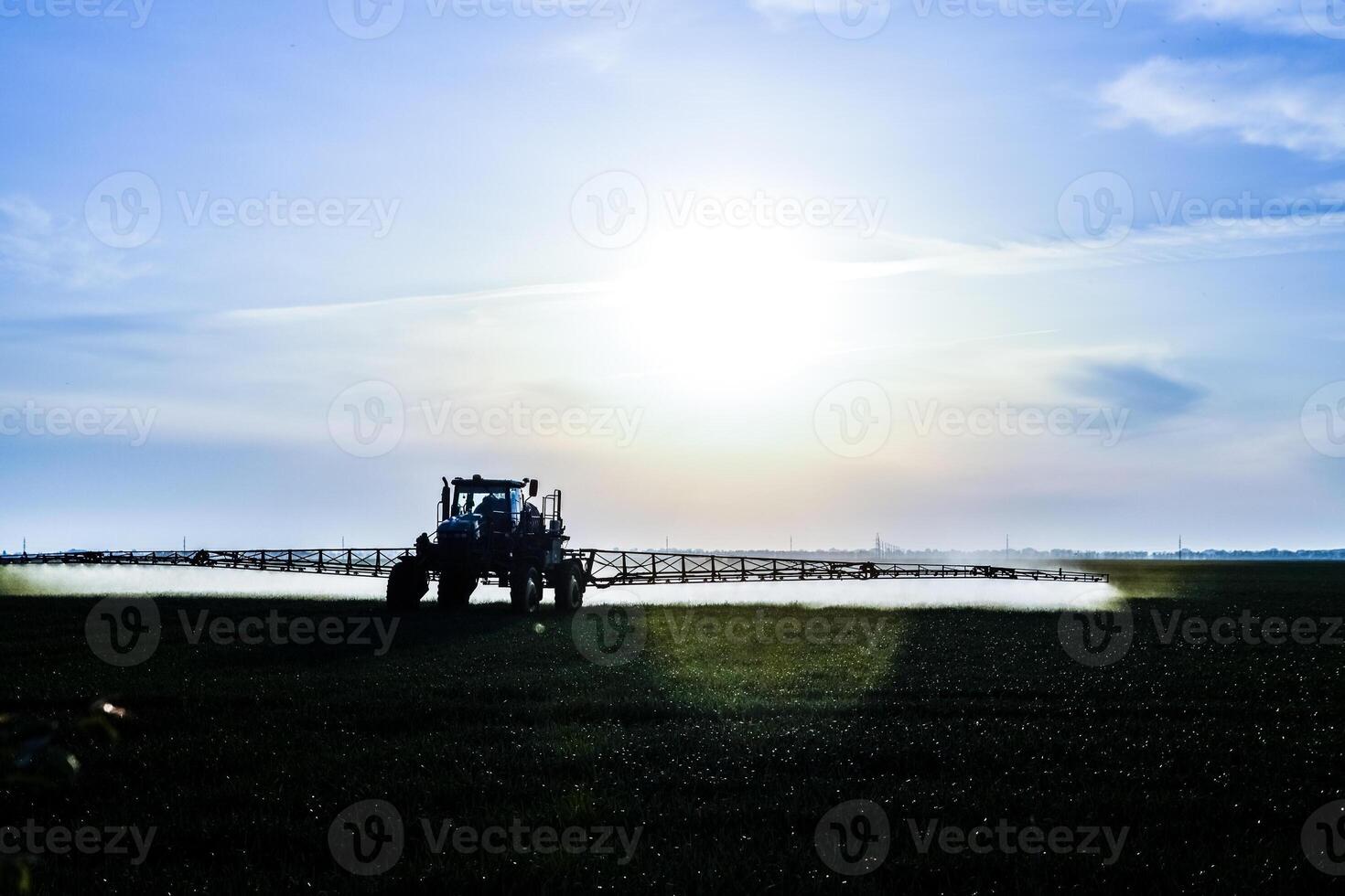 tractor with the help of a sprayer sprays liquid fertilizers on young wheat in the field. photo