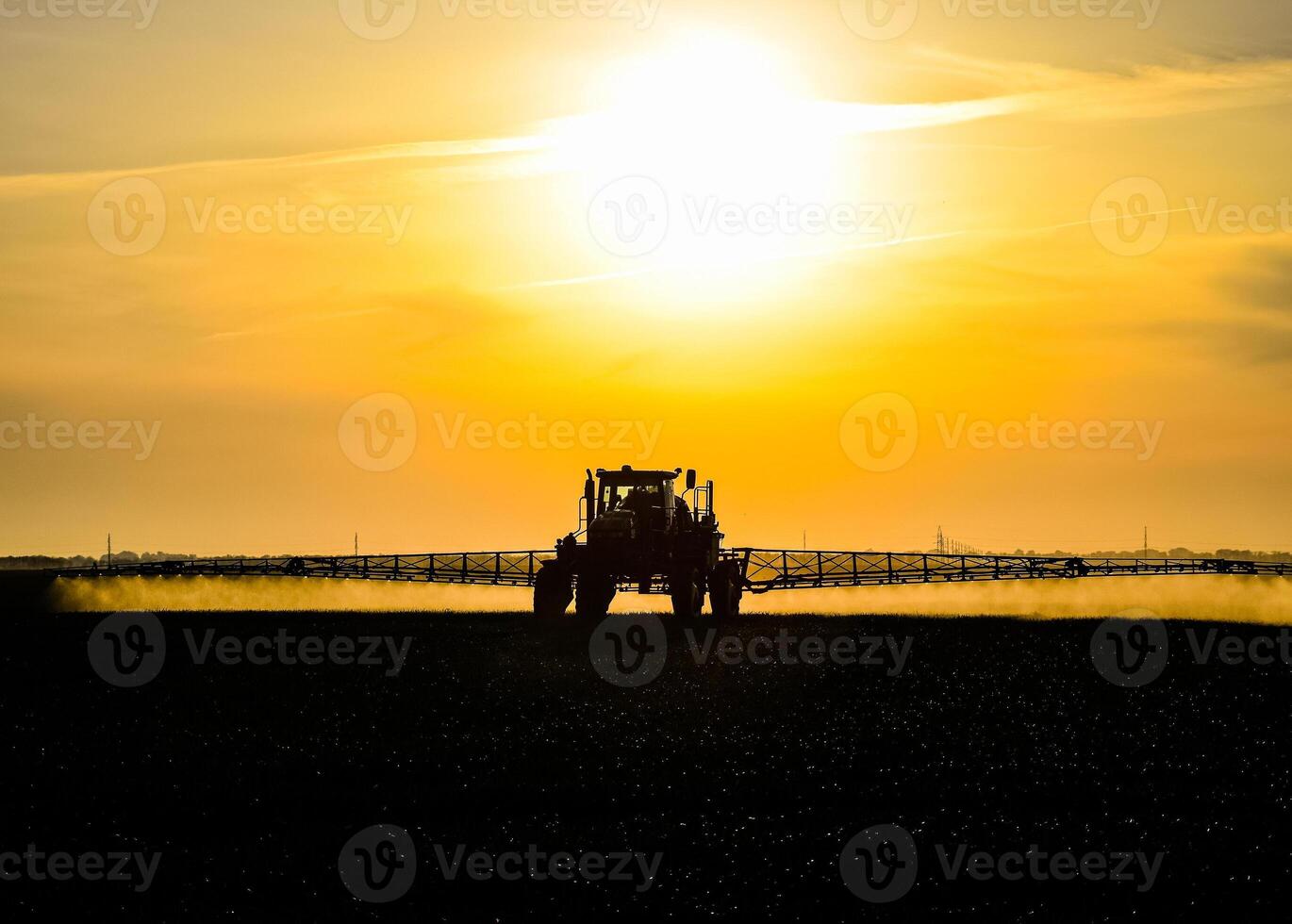 tractor with the help of a sprayer sprays liquid fertilizers on young wheat in the field. photo