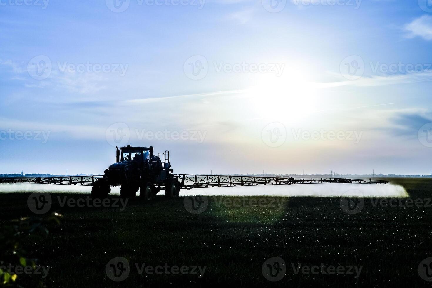 tractor with the help of a sprayer sprays liquid fertilizers on young wheat in the field. photo