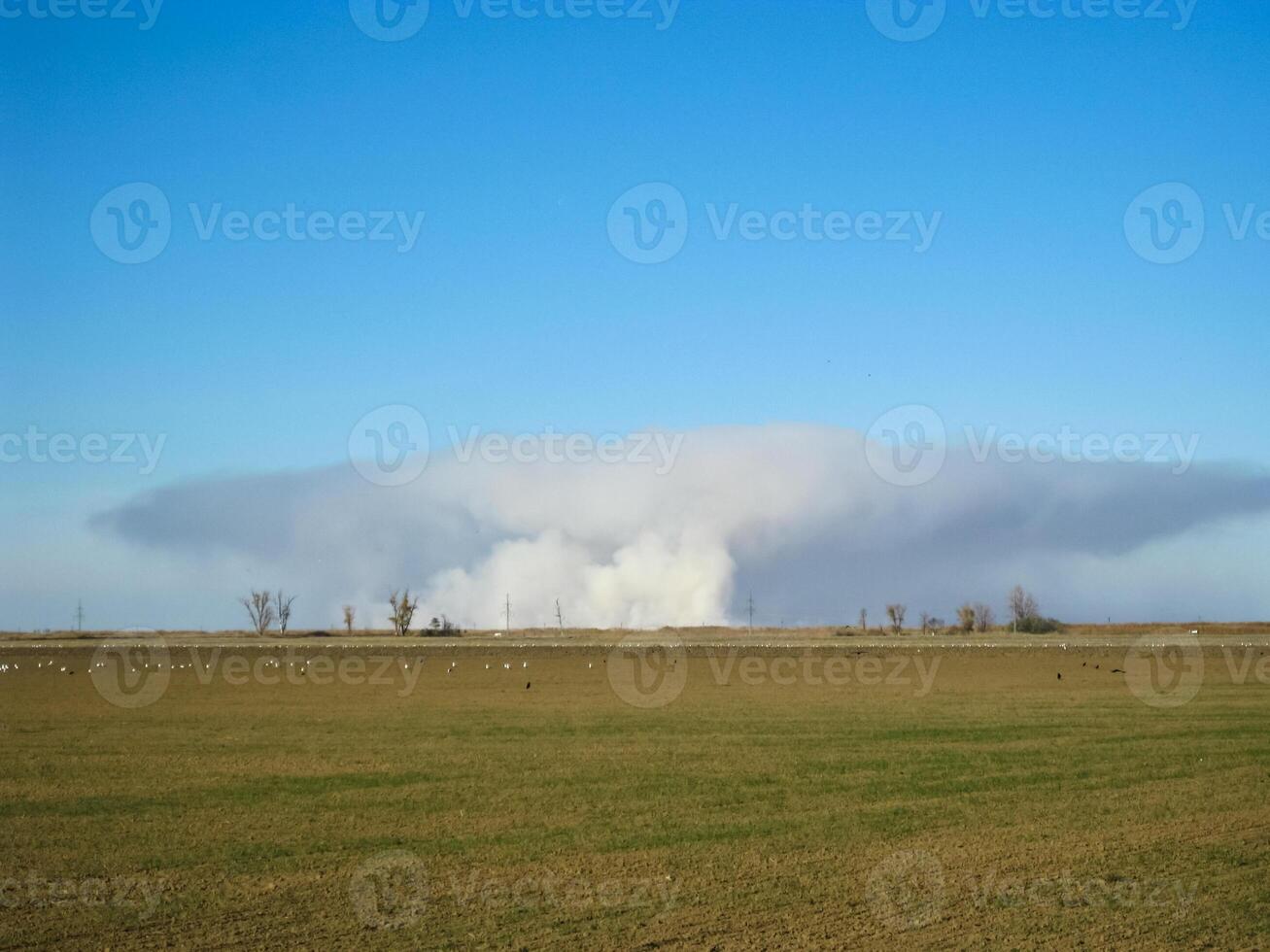 A pillar of smoke from burning rice straw on the field. photo