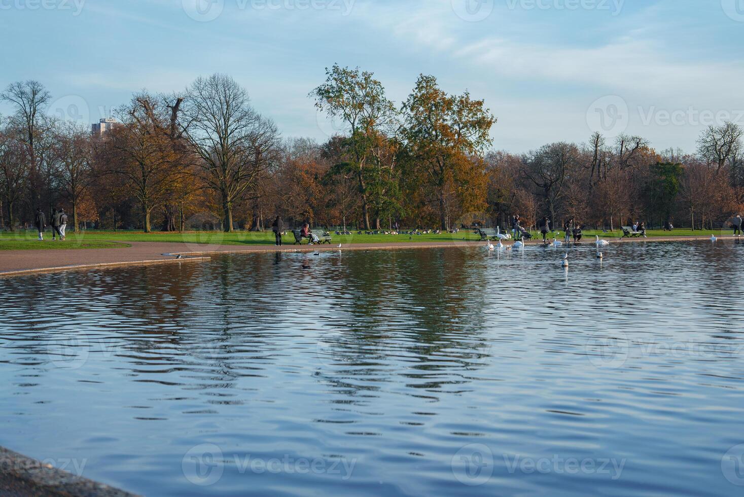 pacífico otoño a invierno cambio en un sereno Londres parque con patos y gansos foto