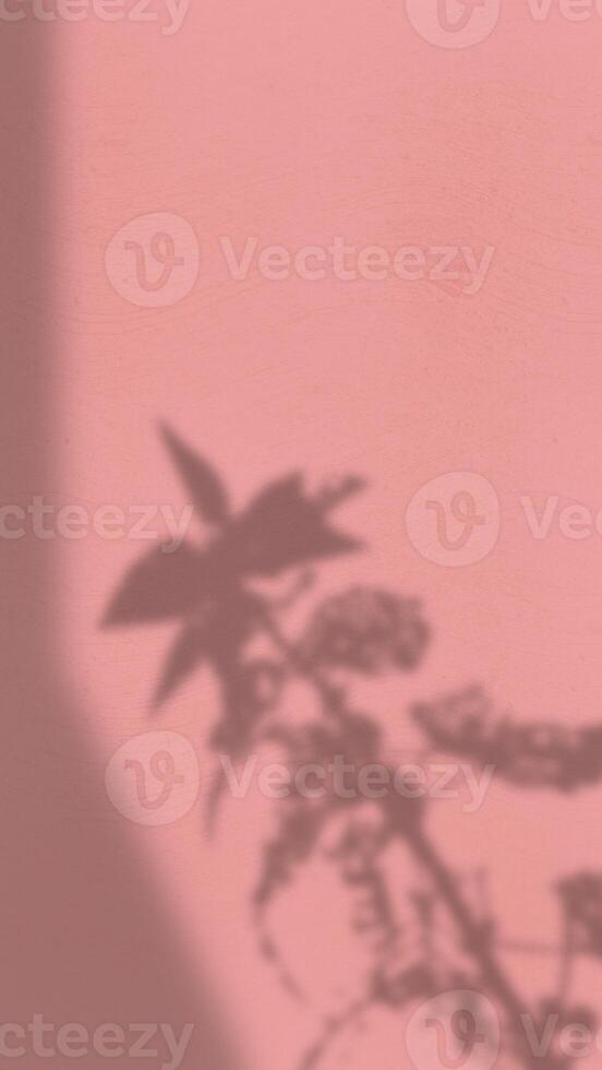 Abstract Background with Spotlight Effect and Tropical Leaves Shadow. Leaves Shadows Cast on an Aesthetic Wall Background photo