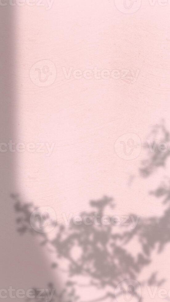 Abstract Background with Spotlight Effect and Tropical Leaves Shadow. Leaves Shadows Cast on an Aesthetic Wall Background photo