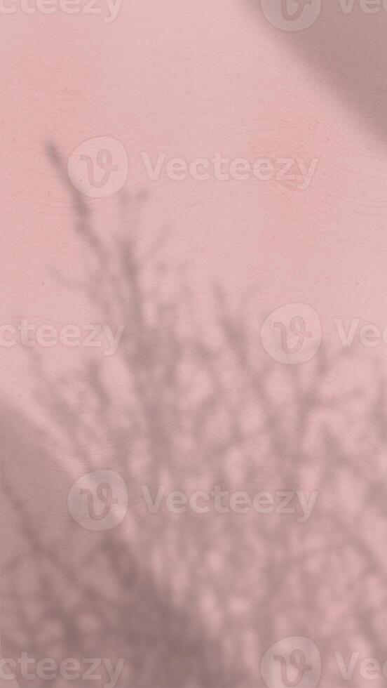Abstract Background with Spotlight Effect and Tropical Leaves Shadow. Leaves Shadows Cast on an Aesthetic Wall Background photo