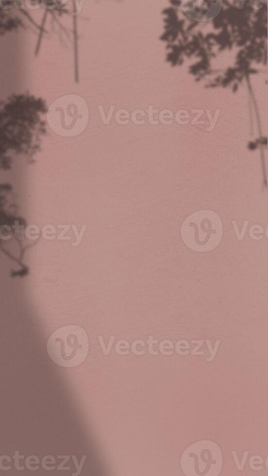 Abstract Background with Spotlight Effect and Tropical Leaves Shadow. Leaves Shadows Cast on an Aesthetic Wall Background photo