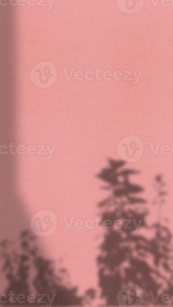 Abstract Background with Spotlight Effect and Tropical Leaves Shadow. Leaves Shadows Cast on an Aesthetic Wall Background photo