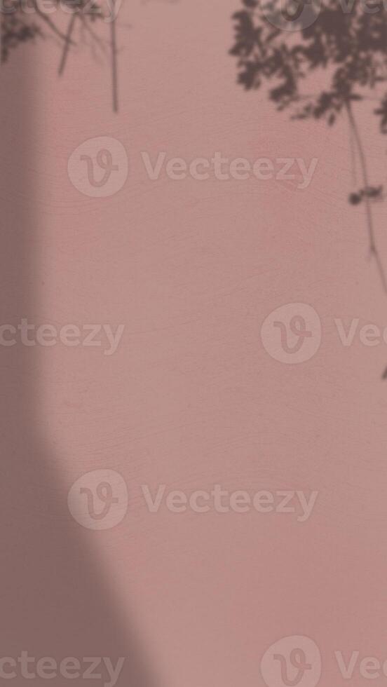 Abstract Background with Spotlight Effect and Tropical Leaves Shadow. Leaves Shadows Cast on an Aesthetic Wall Background photo