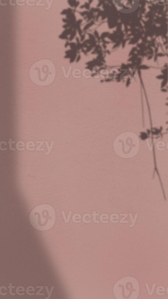 Abstract Background with Spotlight Effect and Tropical Leaves Shadow. Leaves Shadows Cast on an Aesthetic Wall Background photo