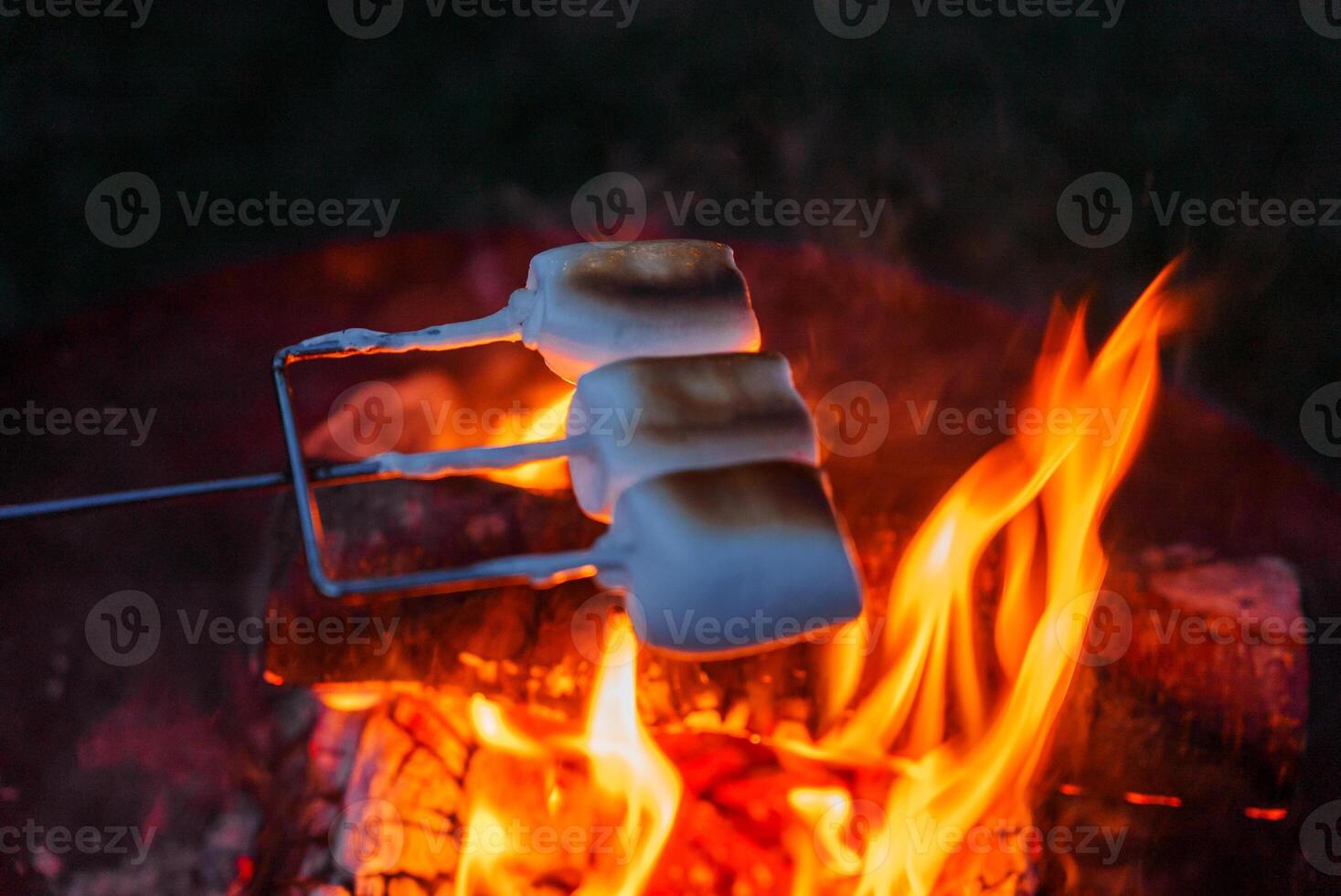 Enjoying Toasted Marshmallows Over a Campfire, Evening in Copenhagen photo