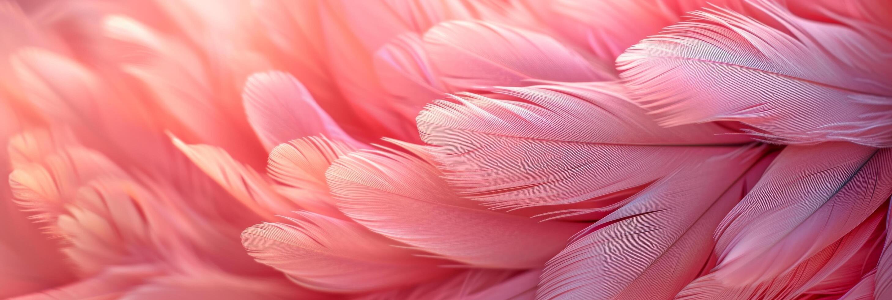 AI generated Beautiful background of pink feathers photo