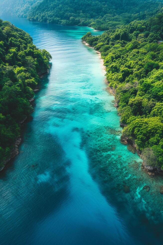 AI generated Tropical Paradise Aerial View. A blend of turquoise waters and lush greenery transports you to a tropical island seen from above photo