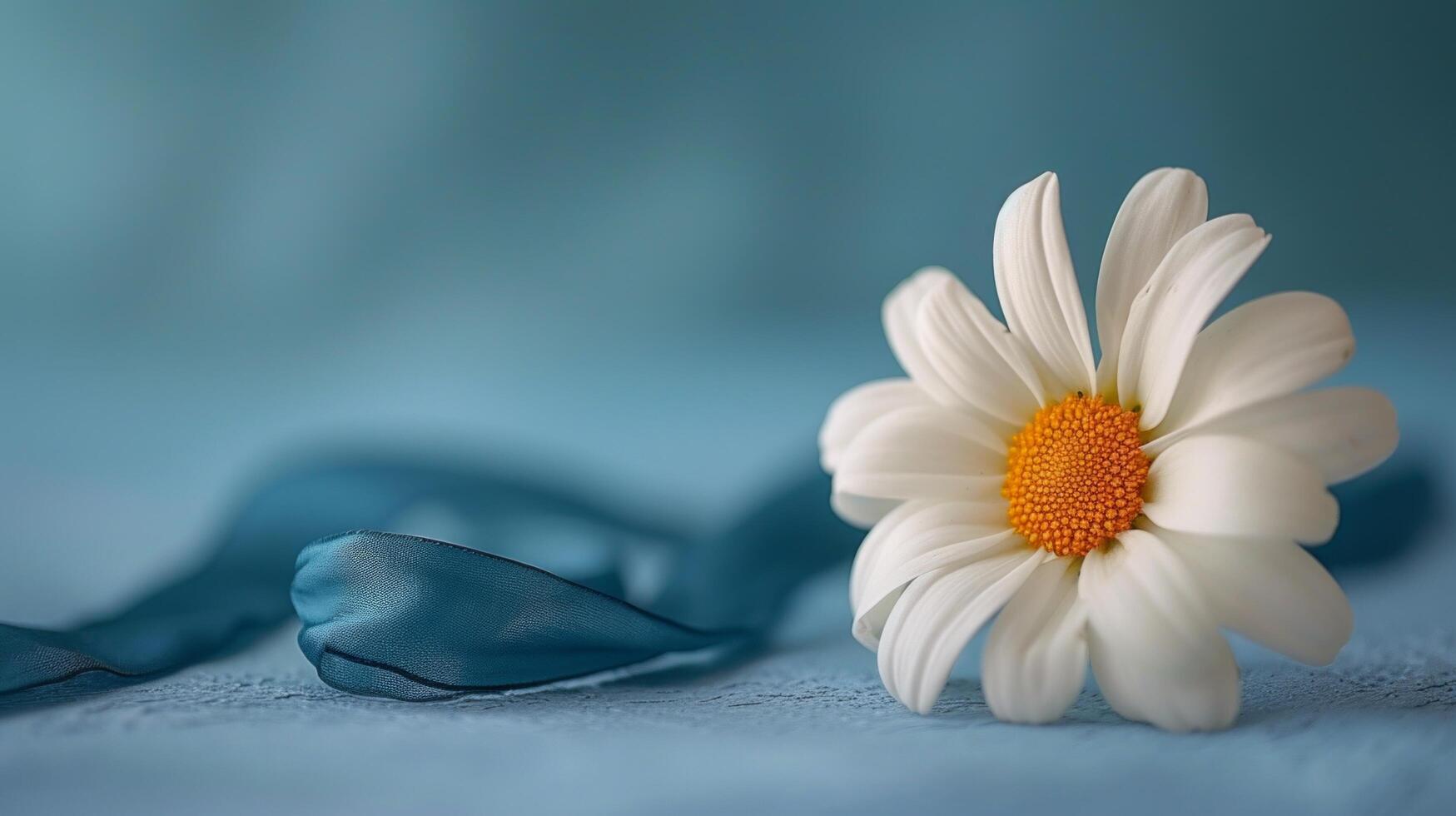 AI generated a single daisy with a blue ribbon, a subtle nod to Labor Day's colors photo