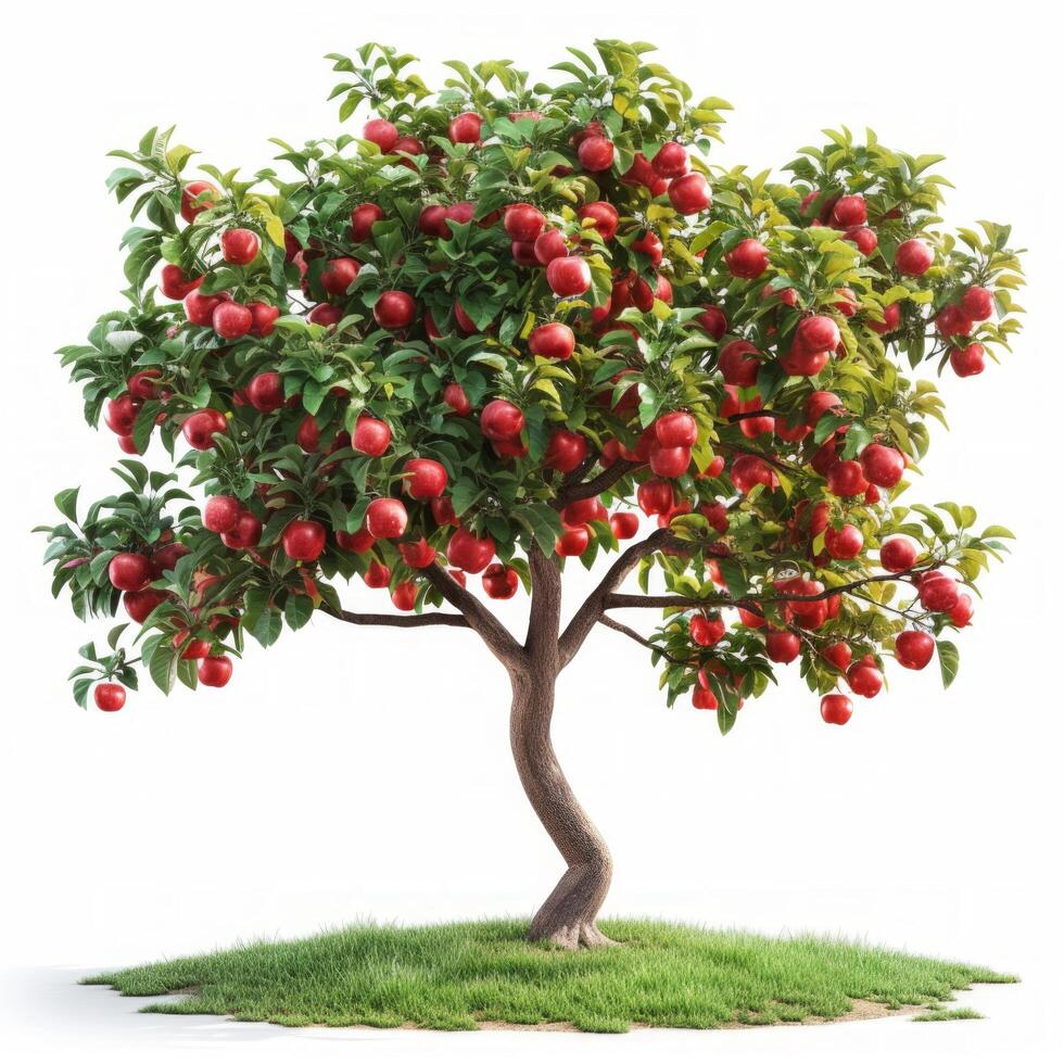 AI generated beautiful apple tree isolated on white background. photo