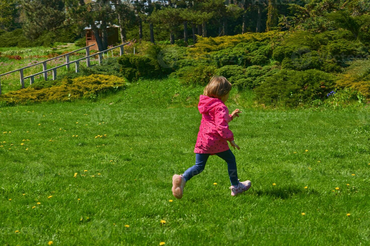 Adorable child in a red jacket runs through a green meadow photo