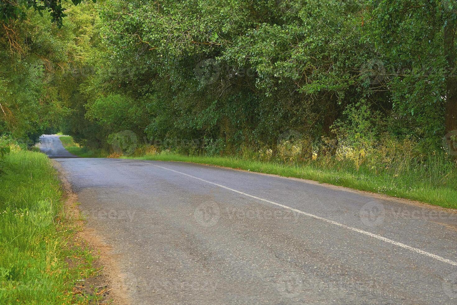 Travelling by car. Asphalt rural road in the middle of green trees photo