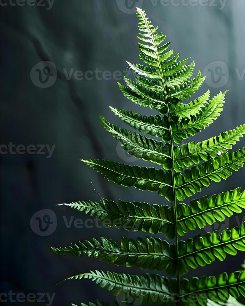AI generated a close up of a green leaf on a black background photo