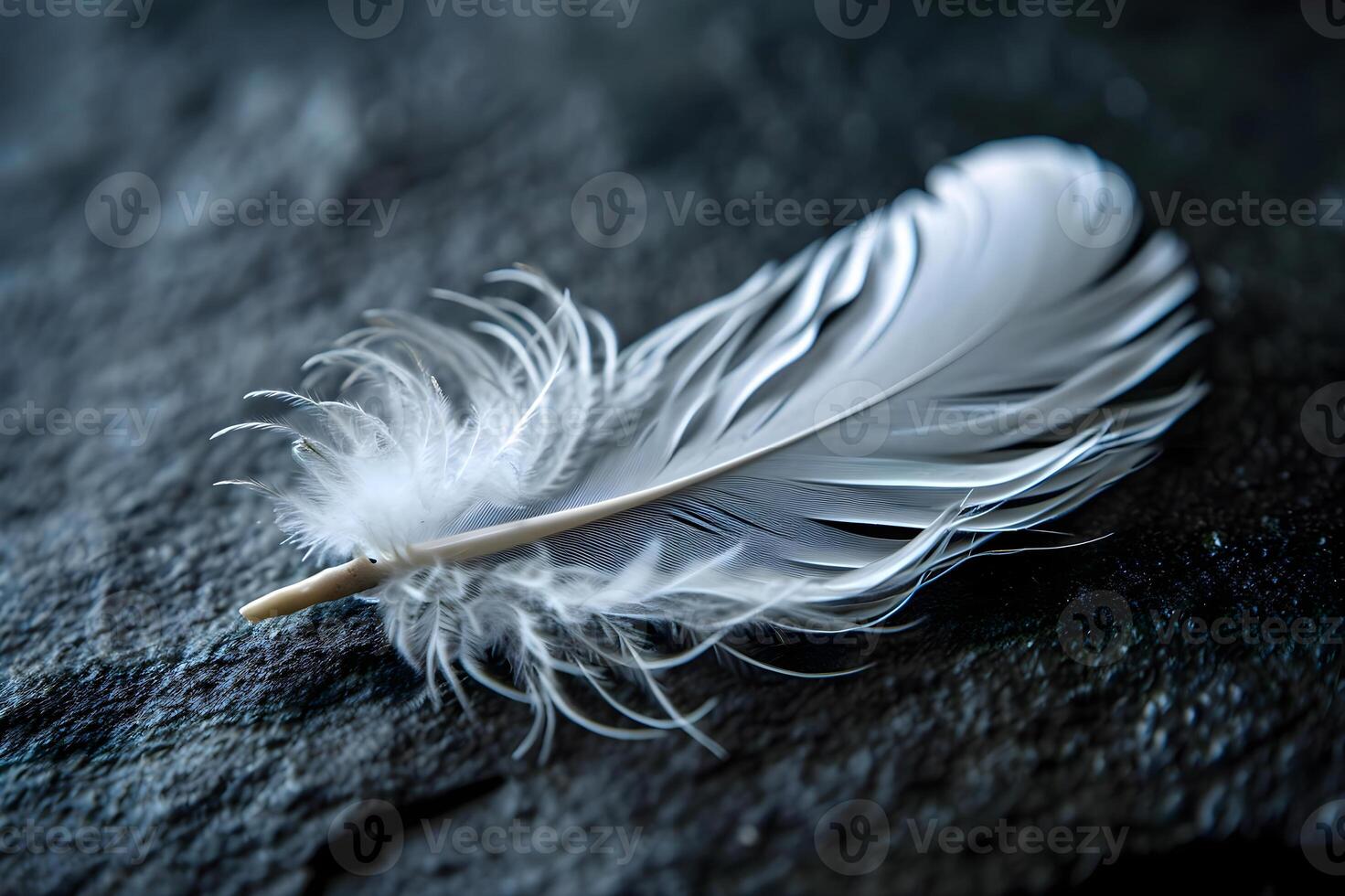 AI generated a white feather resting on a black surface photo