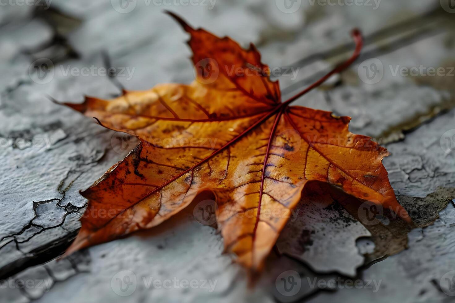 AI generated a single leaf laying on the ground photo