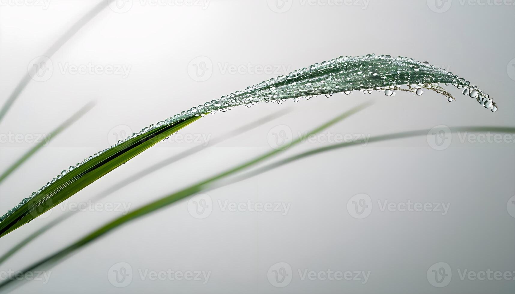 AI generated a close up of a plant with water droplets on it photo