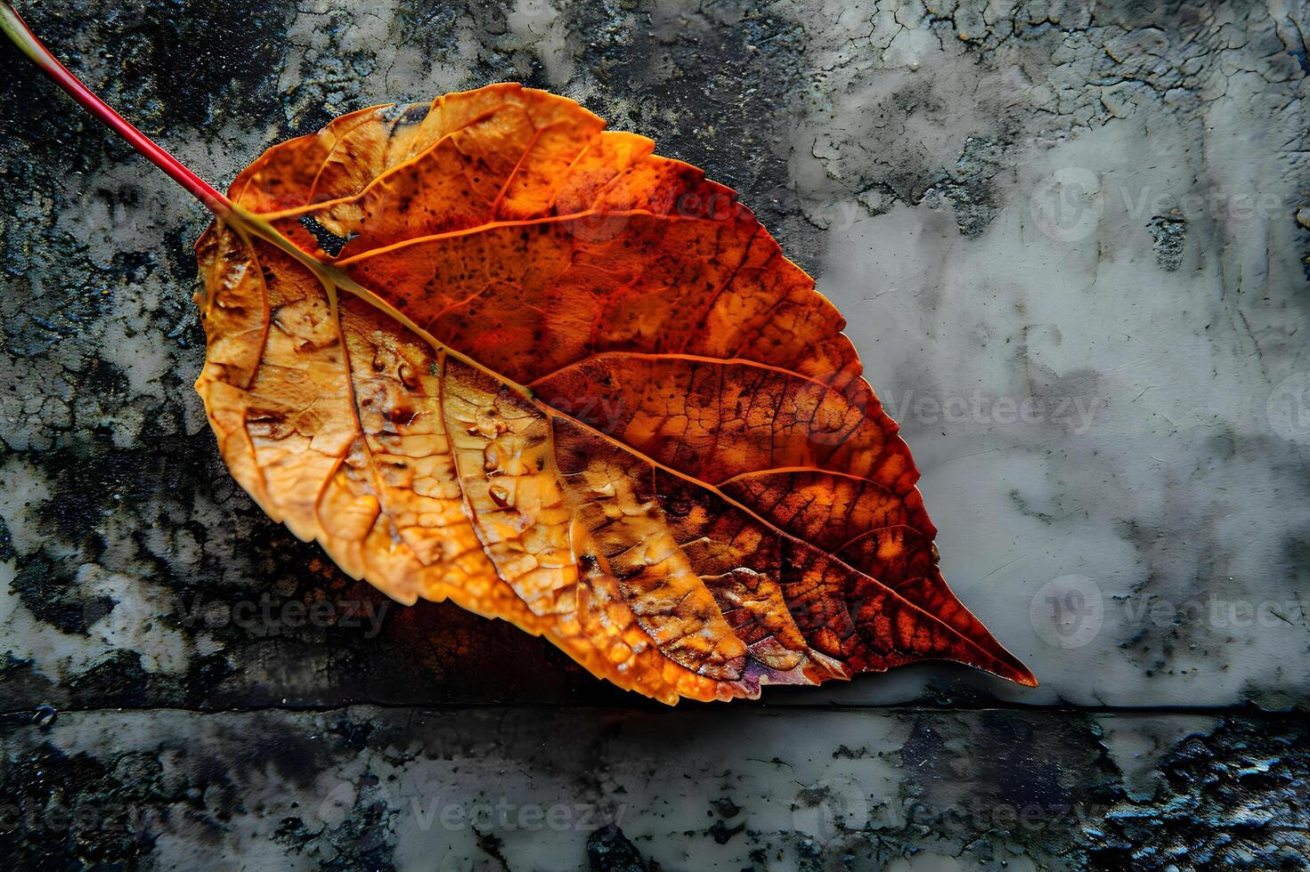 AI generated a leaf is laying on a stone surface photo